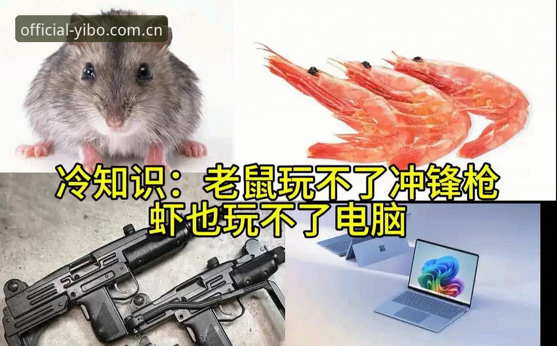 yibo体育下载地址 欧冠决赛前夜必备知识:从梅里诺伤病恢复到战术博弈的深度解读